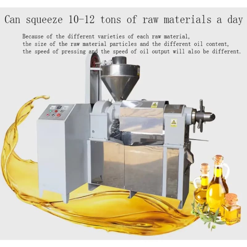 Presse à huile froide industrielle personnalisée, 500 KG/H, Olive, cacahuètes, tournesol, basilic, équipement de ligne de traitement Commercial