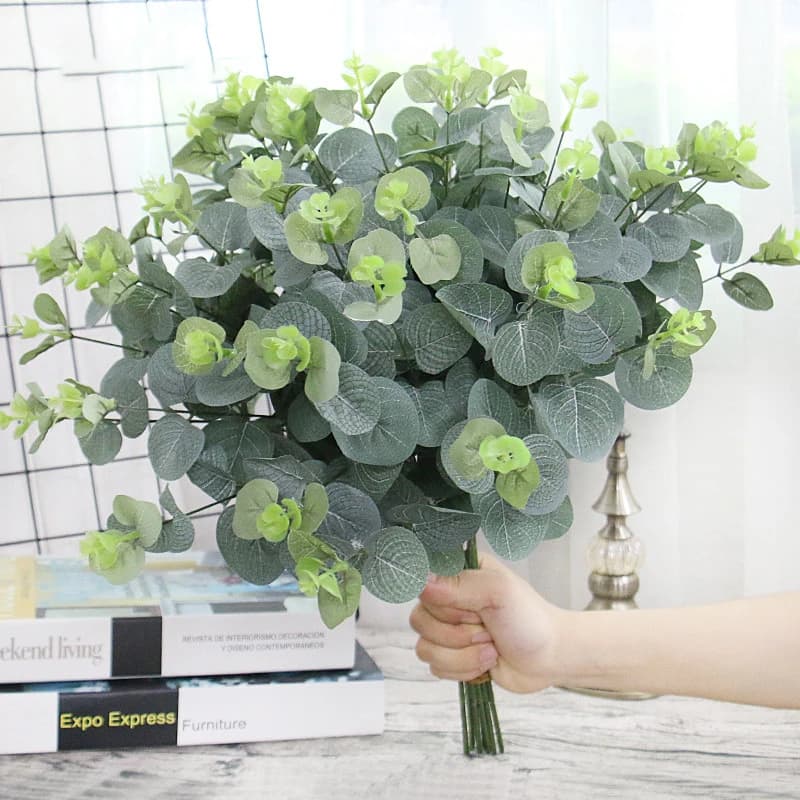 Feuilles d'eucalyptus vertes