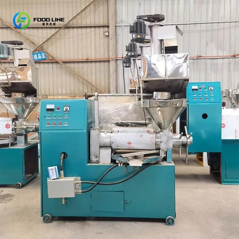 Presse à huile industrielle à vis pour palme, noix de coco et olive, à froid, nouvelle machine de production sur mesure pour petites et moyennes entreprises