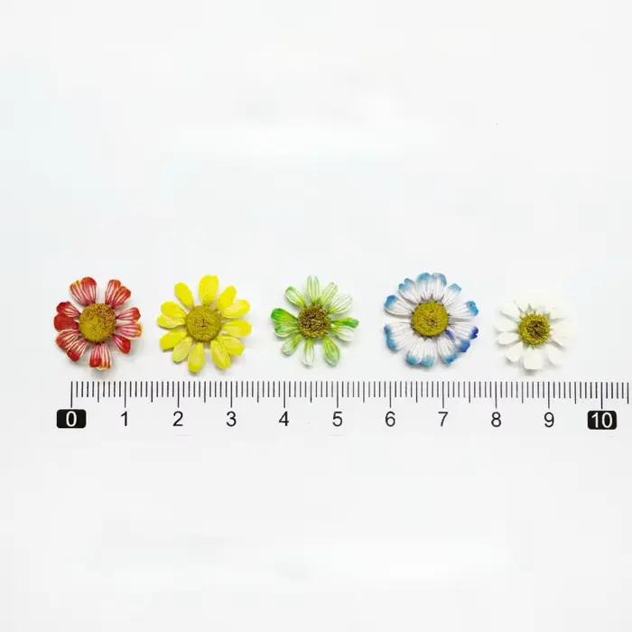12 pièces/1-2 cm, Mini fleur sèche naturelle camomille