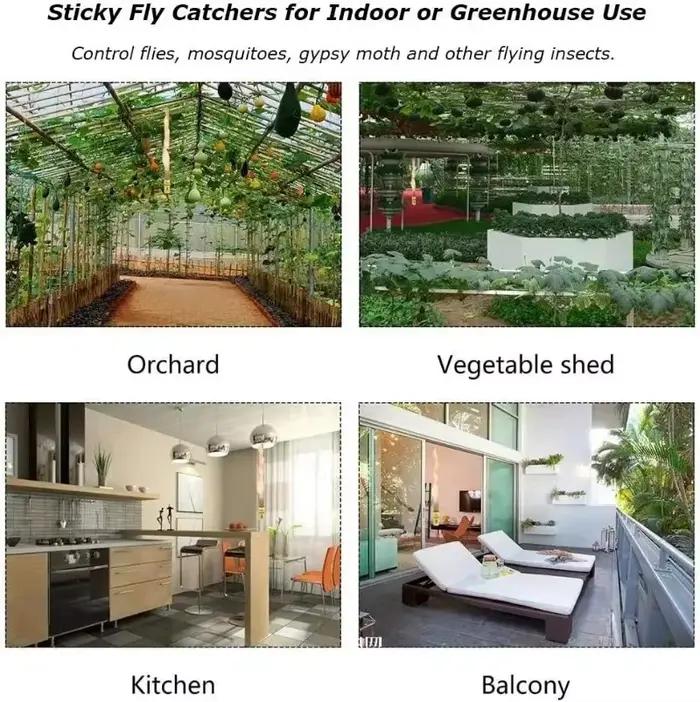 Bandes adhésives puissantes pour attraper les mouches des plantes en pot, pièges à mouches à fruits suspendus, tue-moustiques, ruban collant, fournitures de jardin