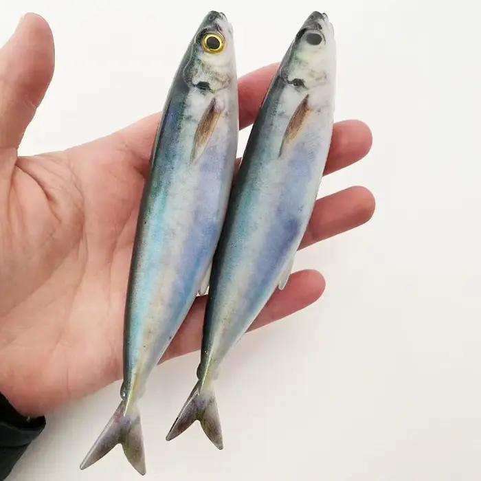 Lot de 2 leurres de pêche à la traîne, 5,71 po, 33,5 g, appât dur réaliste en forme de sardine pour thon, maquereau, pêche en mer profonde depuis bateau