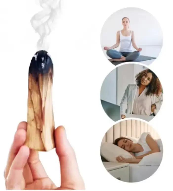 Palo Santo bâtons d'encens naturels à haut teneur en huile pour aromathérapie intérieure