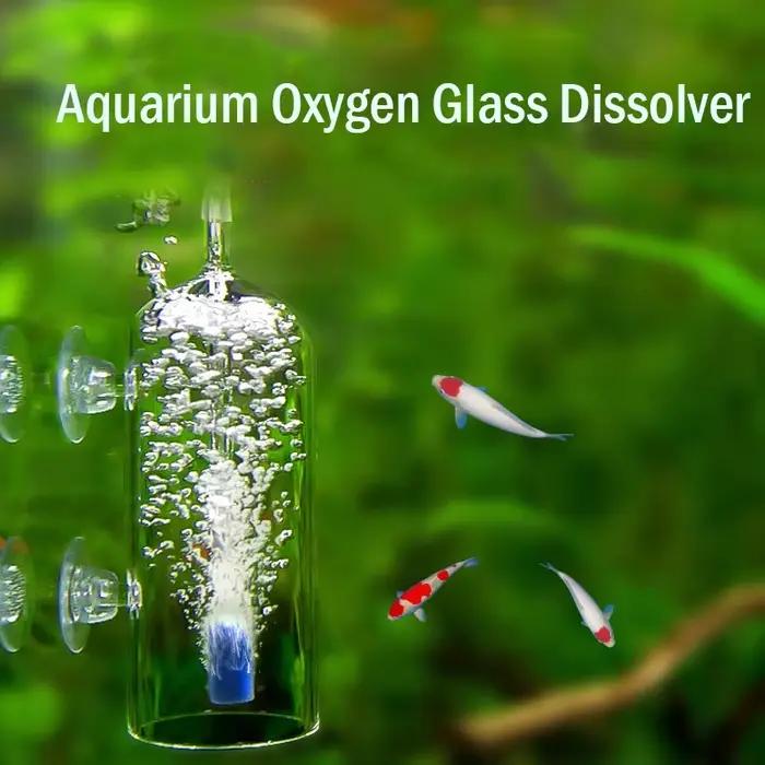 Diffuseur d'oxygène et de CO2 pour Aquarium, pompe à Air, aérateur en verre, oxygénateur, pierre, distributeur de dissolution d'air, accessoires d'aquarium