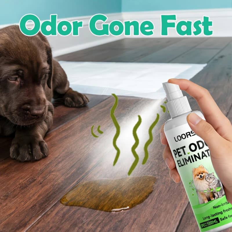 Spray anti-odeur d'urine pour animaux de compagnie - Éliminateur d'urine haute performance, sans dan