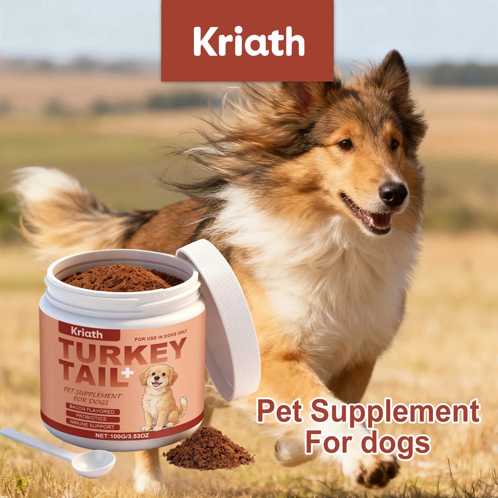 Poudre de complément nutritionnel pour chiens : Améliore la vitalité de l'animal, équilibre la flore