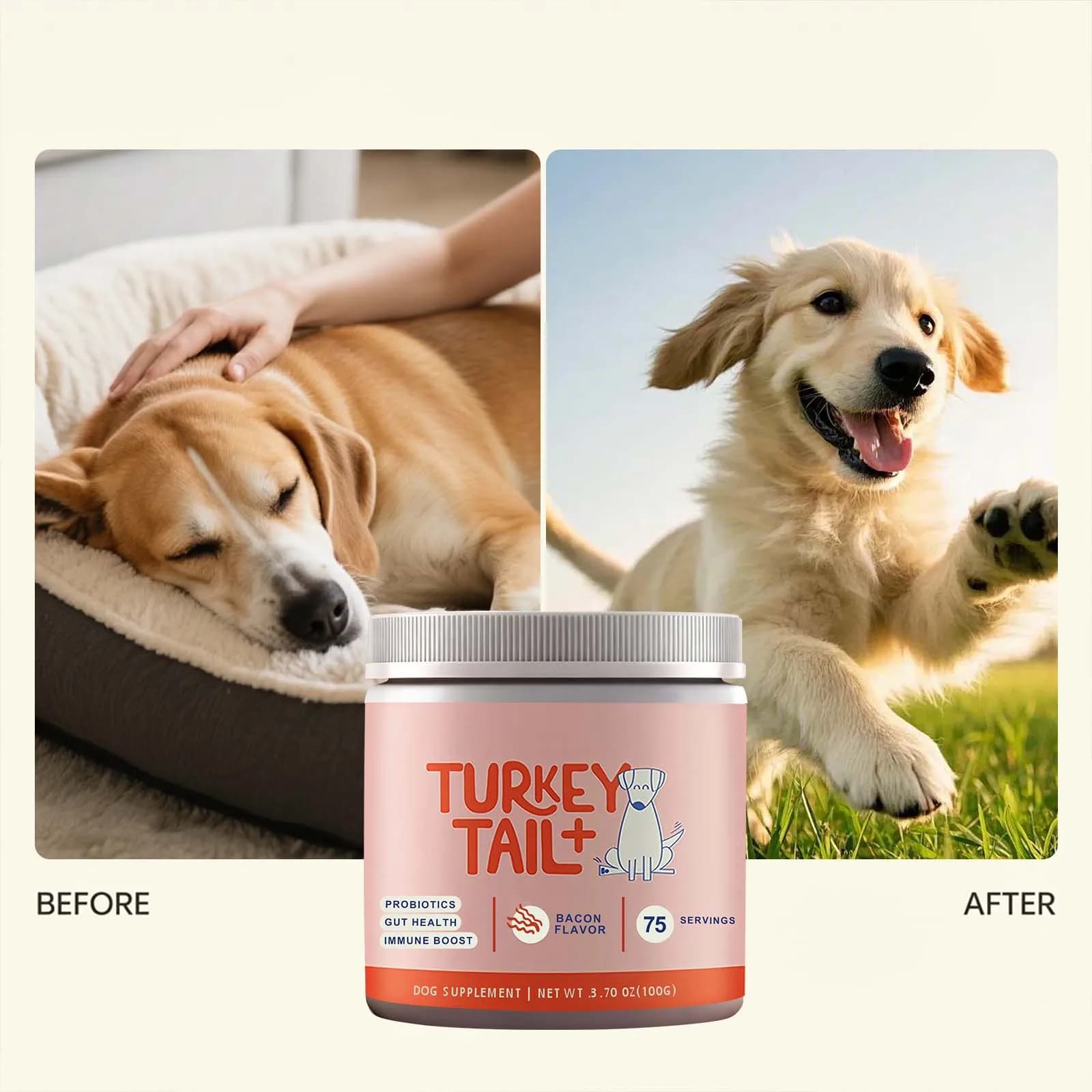 Probiotiques pour chiens en granulés souples, supplément vitaminique à base de champignons Turkey Ta