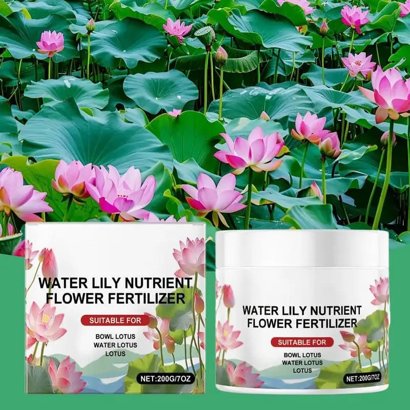 Bol de pollen de lotus favorise la croissance de la santé des plantes, étang, nénuphar, nutriments,