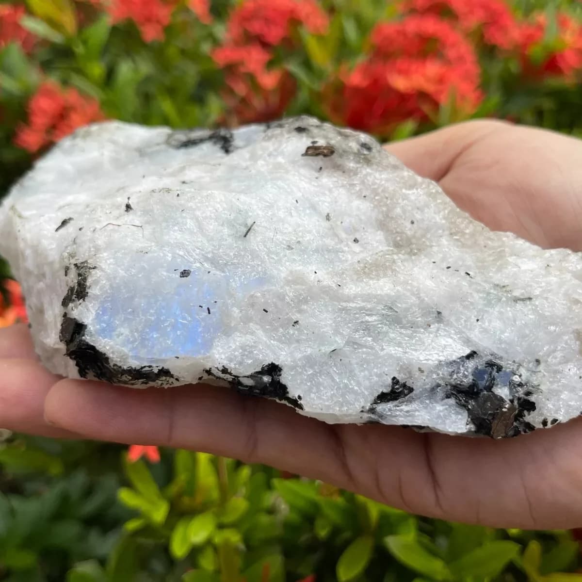 Pierre de lune arc-en-ciel naturelle, pierre brute, cristal de Quartz brut, minerai de pierre de lun