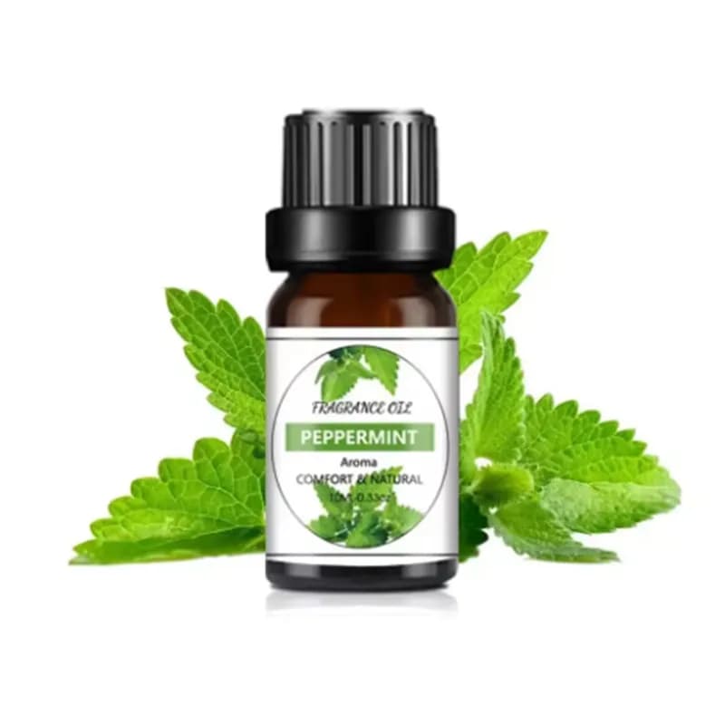 PWD 10 ml d'huile essentielle aromatique, pour utilisation en voiture, à la maison, à l'hôtel, parfu