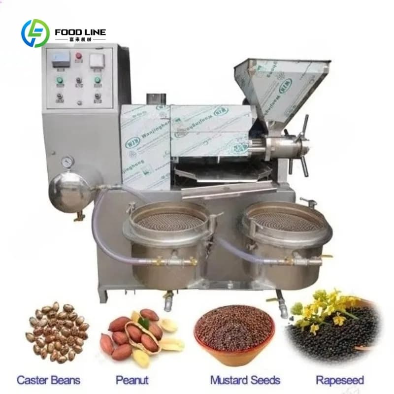 Presse à huile automatique personnalisée, équipement d'extraction d'huile à froid efficace pour Maca