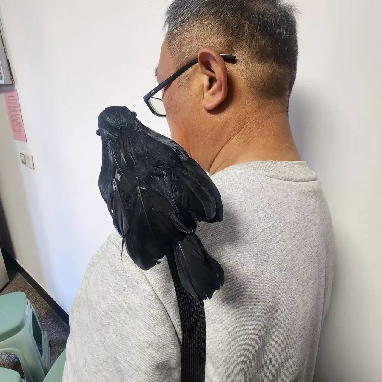 Simulation d'halloween, corbeau d'épaule avec bande élastique, accessoires de Costume de danse Cospl