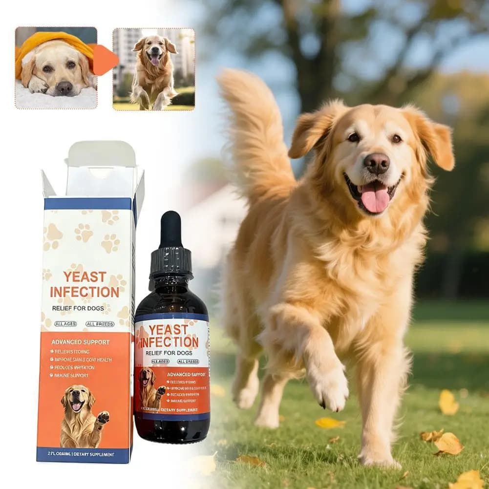 Gouttes de levure pour animaux de compagnie, 60ml, pour chiens et chats, soin doux, complément alime