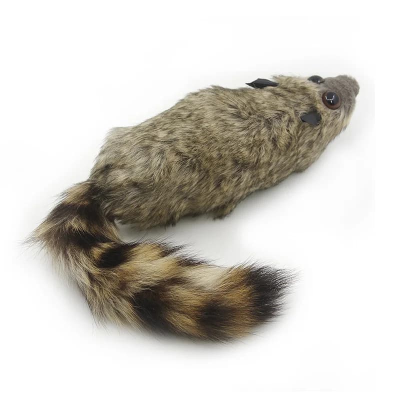Le raton laveur rocheux Robbie tours de magie printemps Animal jouet apparaissant Magia scène rue Illusions accessoires comédie mentalisme Gimmick