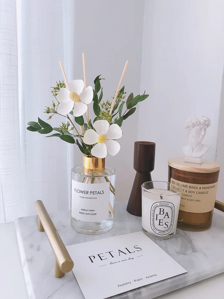 Bâtons de rechange pour diffuseur