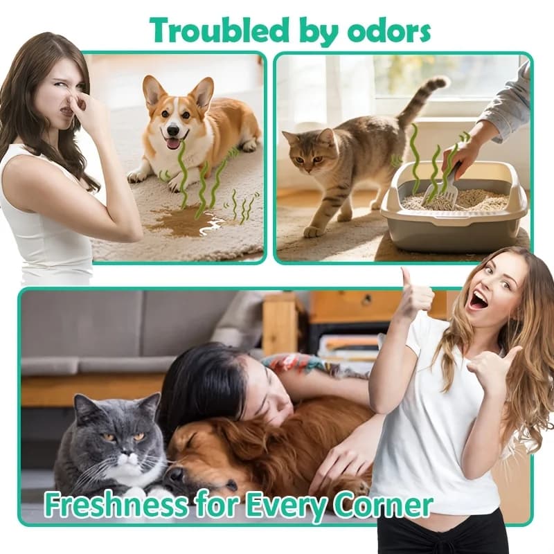 Spray anti-odeur d'urine pour animaux de compagnie - Éliminateur d'urine haute performance, sans danger pour les tapis, les sols et les meubles, adapté aux chiens et aux chats
