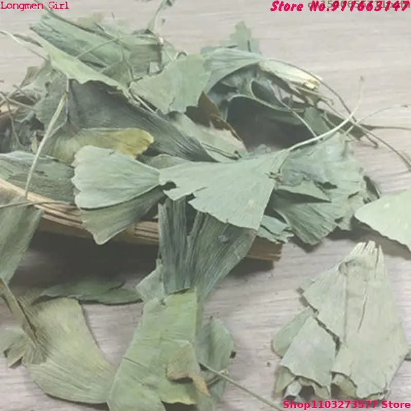 Feuilles de Ginkgo Biloba séchées de haute qualité pour la beauté, la santé, les savons, les sachets parfumés, les bougies de mariage, la fabrication de bijoux, la décoration extérieure