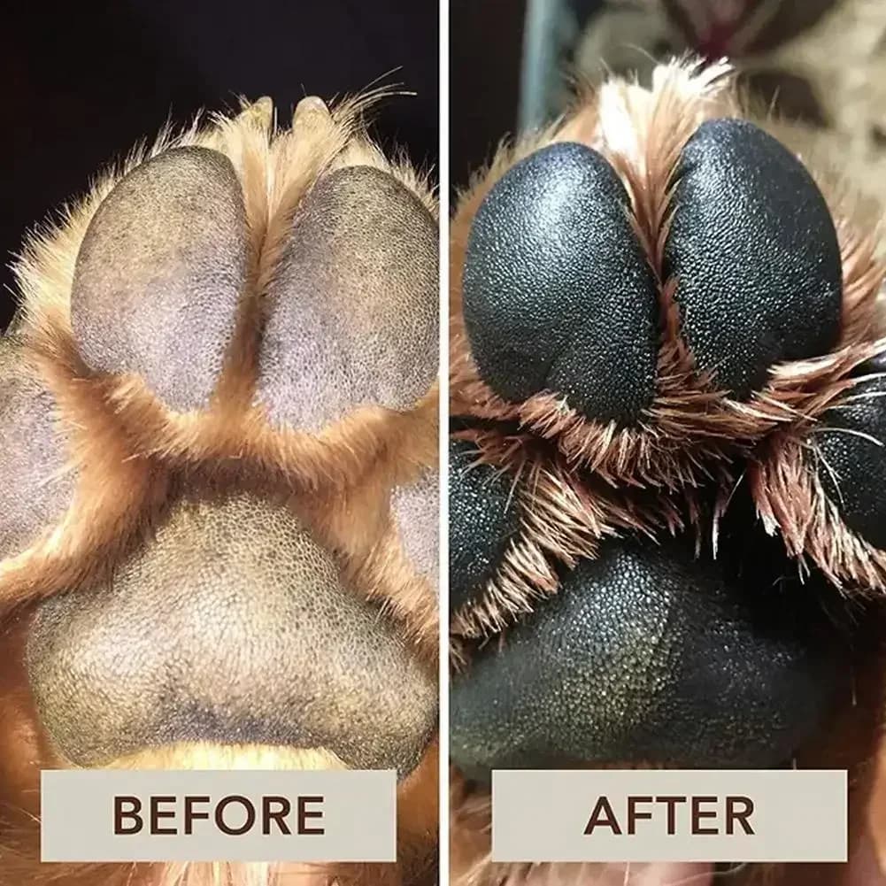 30g crème de soin des pattes d'animaux de compagnie crème de soin des pieds de chat et de chien coussin de pied huile de Protection baume des pattes de chien crème de Protection des pattes de chien de