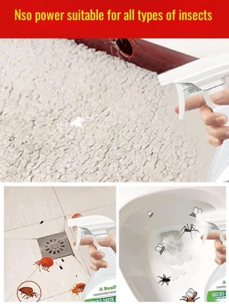 Gecko-Spray répulsif domestique pour petits animaux, Buster extérieur, longue durée