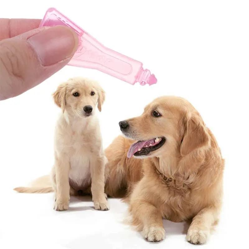 2.5 ml anti-puces gouttes chien traitement aux puces liquide contrôle rapide sûr efficace