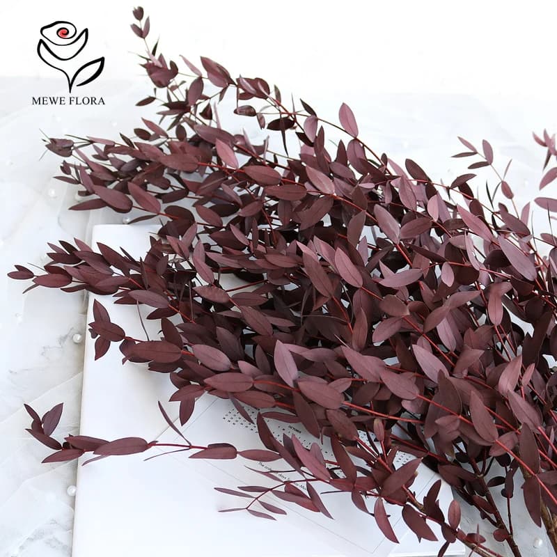 Bouquet de feuilles d'eucalyptus 100g