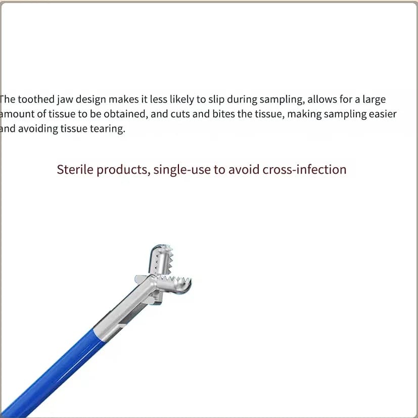 FORCEPS d'échantillonnage d'endoscopie disponible