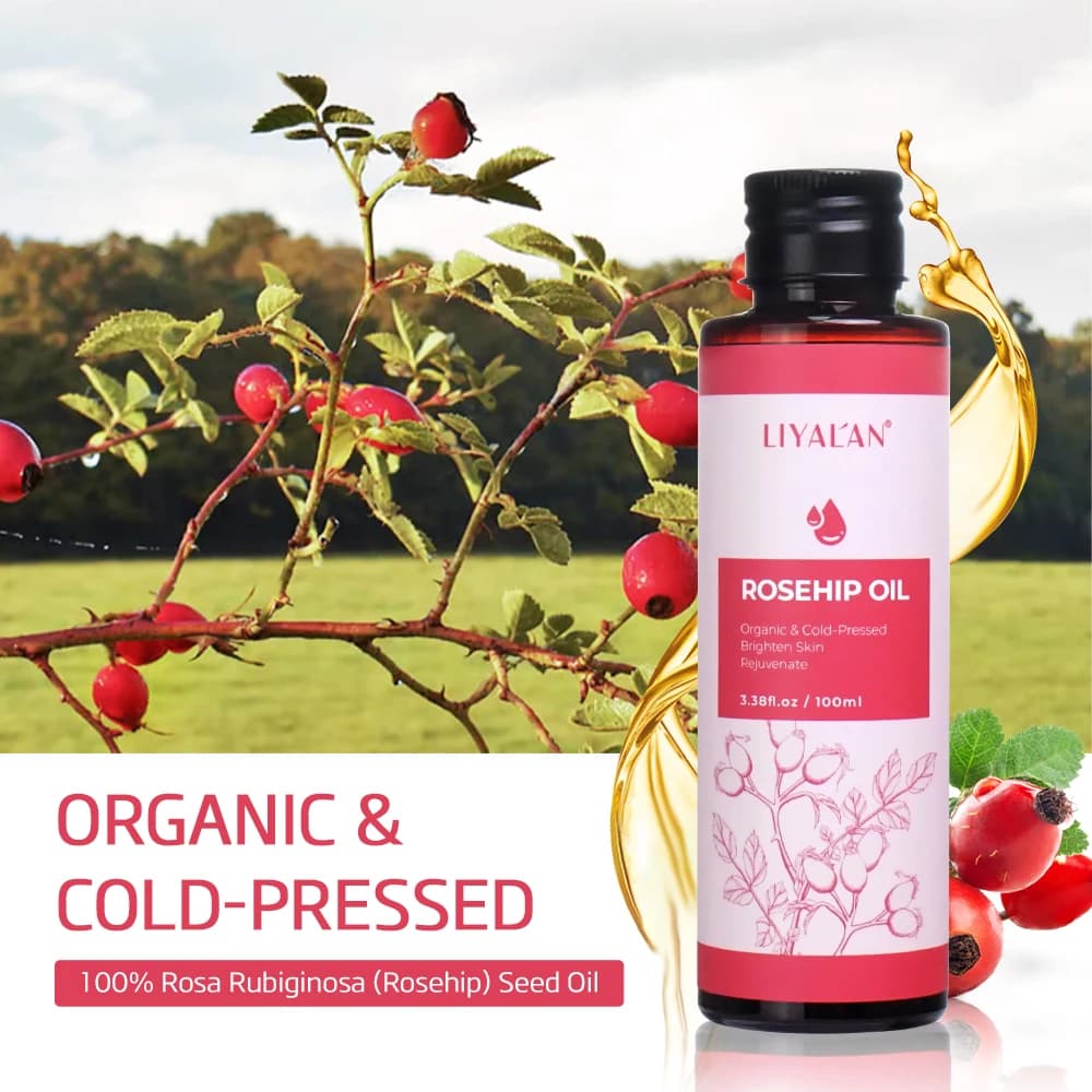 Huile de rose musquée éclaircissante, raffermissante, rajeunissante, estompe les taches foncées, hydrate, nourrit les cheveux, Essence de graines de rose musquée Pure, soins pour la peau, 100ml