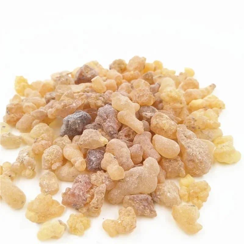Résine d'encens Oliban de Somalie organique, hydrolat de médecine, cônes d'encens propres, ples continents, Boswellia