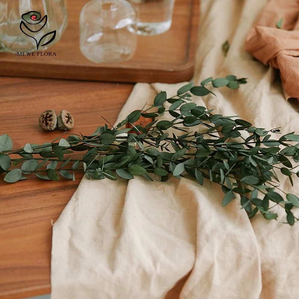 Bouquet de feuilles d'eucalyptus 100g