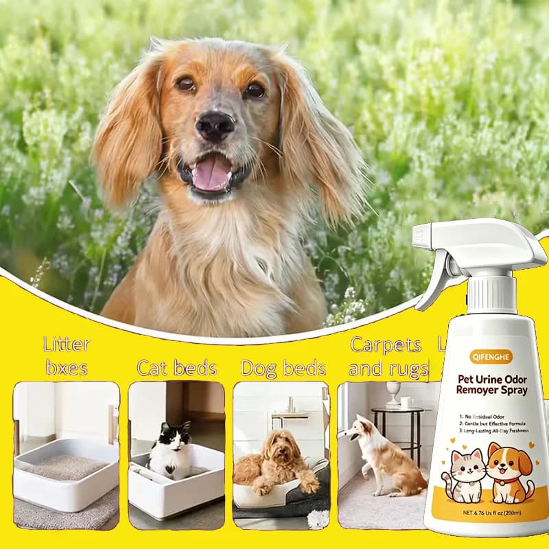 Spray anti-odeurs d'urine pour animaux de compagnie, formule douce mais efficace sans odeur résiduelle, fraîcheur longue durée toute la journée pour chats, chiens, maison