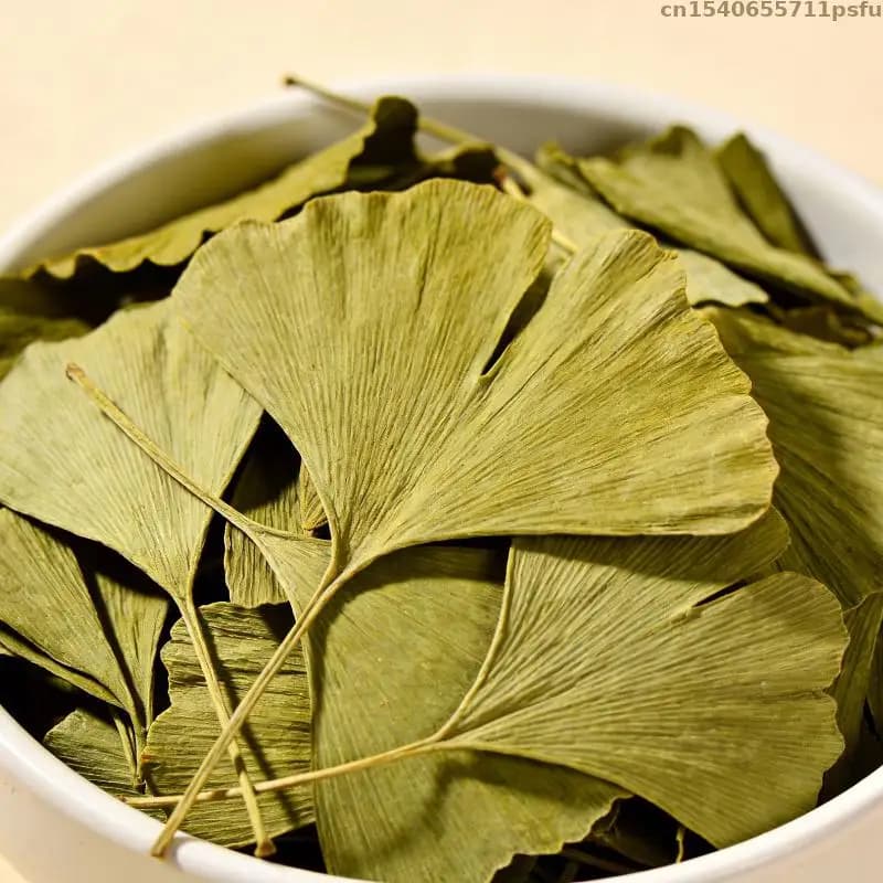 Feuilles de Ginkgo Biloba séchées de haute qualité pour la beauté, la santé, les savons, les sachets parfumés, les bougies de mariage, la fabrication de bijoux, la décoration extérieure