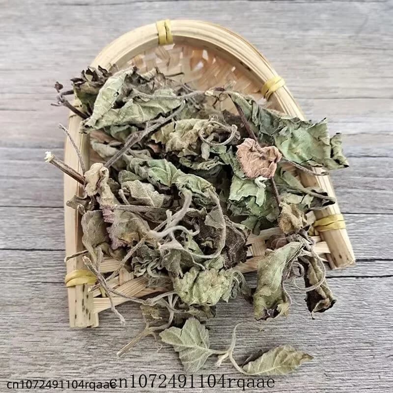 Feuilles d'Agastache Rugosa Séchées Naturelles Pures, Feuilles de Patchouli/Perilla Séchées Premium pour l'Aromathérapie et les Projets DIY