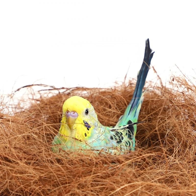 Matériel de nidification en Fiber de noix de coco, nid/Fiber d'aviaire, oiseaux canaries, pins, nid rempli d'herbe, accessoires pour Cage à oiseaux, 100/200g