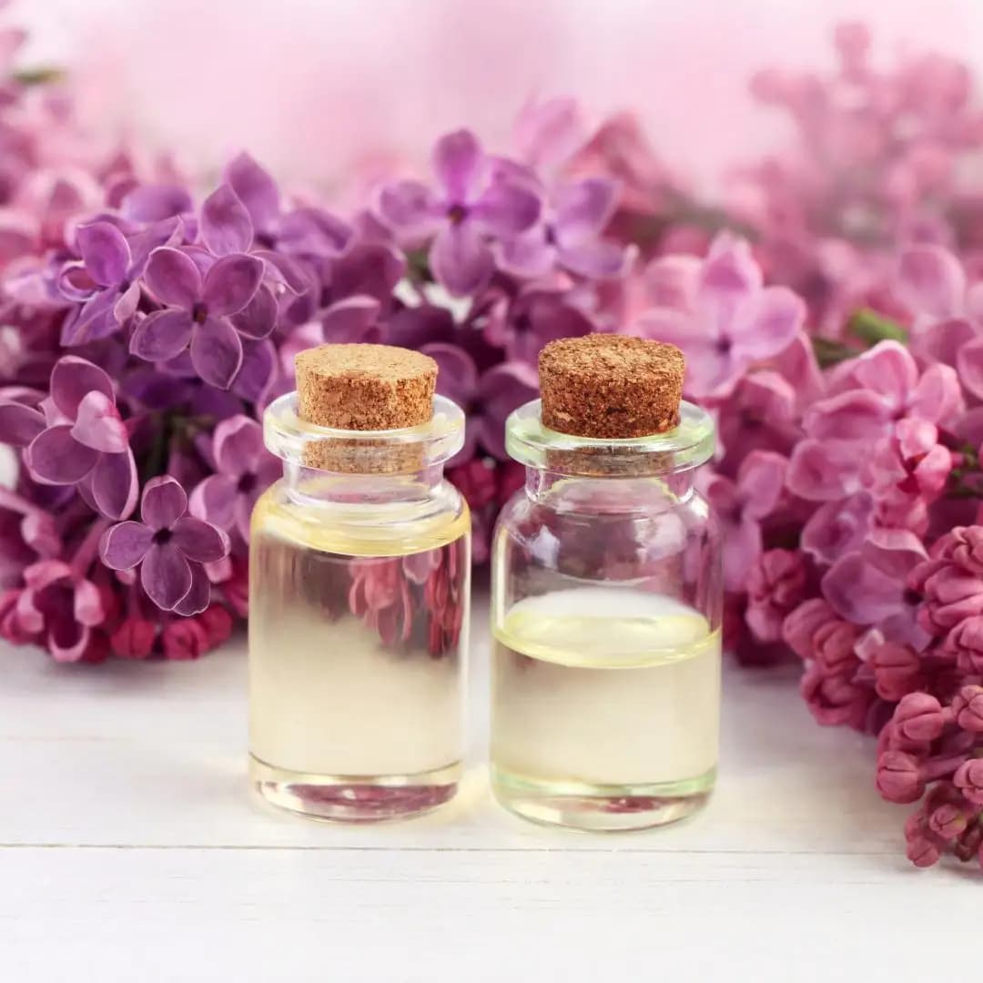 CAN ac-Huile essentielle non diluée de qualité supérieure, pour diffuseurs, bougie de massage et fournitures exécutives de Regina, parfum d'huile diffuseur