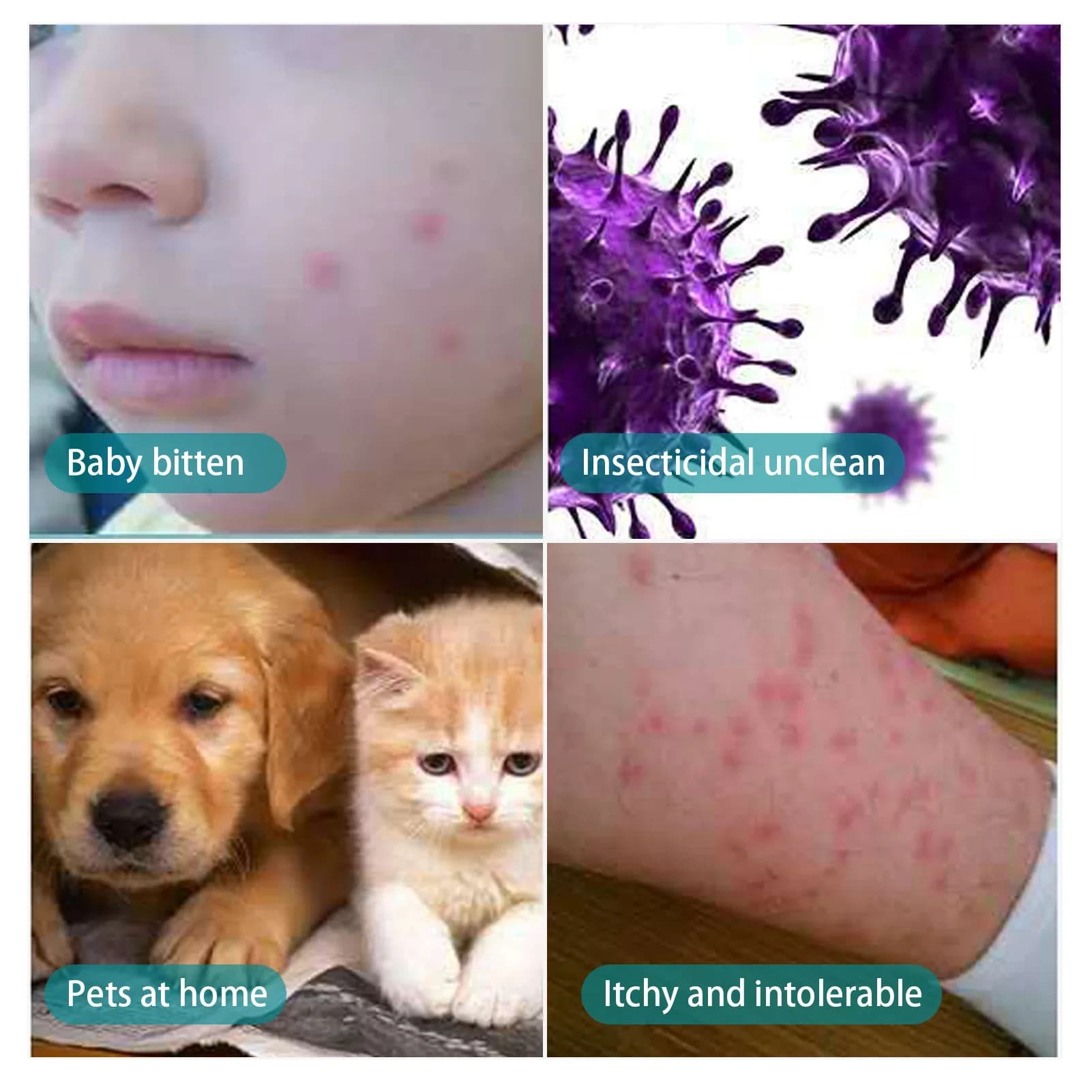 Spray anti-puces et tiques 100 ml pour chiens et chats, traitement contre les puces pour chiens et chats d'intérieur et d'extérieur, spray anti-puces et tiques pour animaux de compagnie