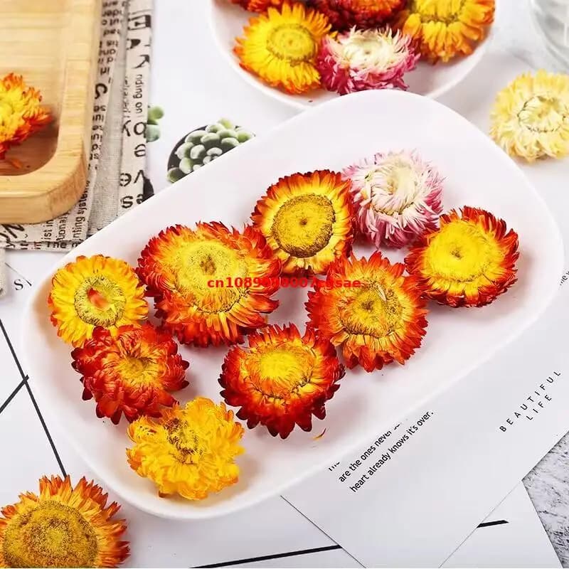 Fleur séchée naturelle d'immortelle de haute qualité, mélange de fleurs d'Helichrysum Bracteatum, pour décoration de mariage, fabrication de savons et de bougies