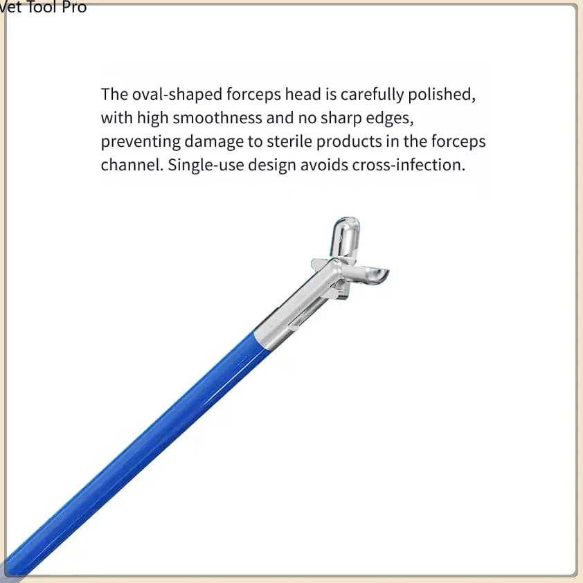 FORCEPS d'échantillonnage d'endoscopie disponible