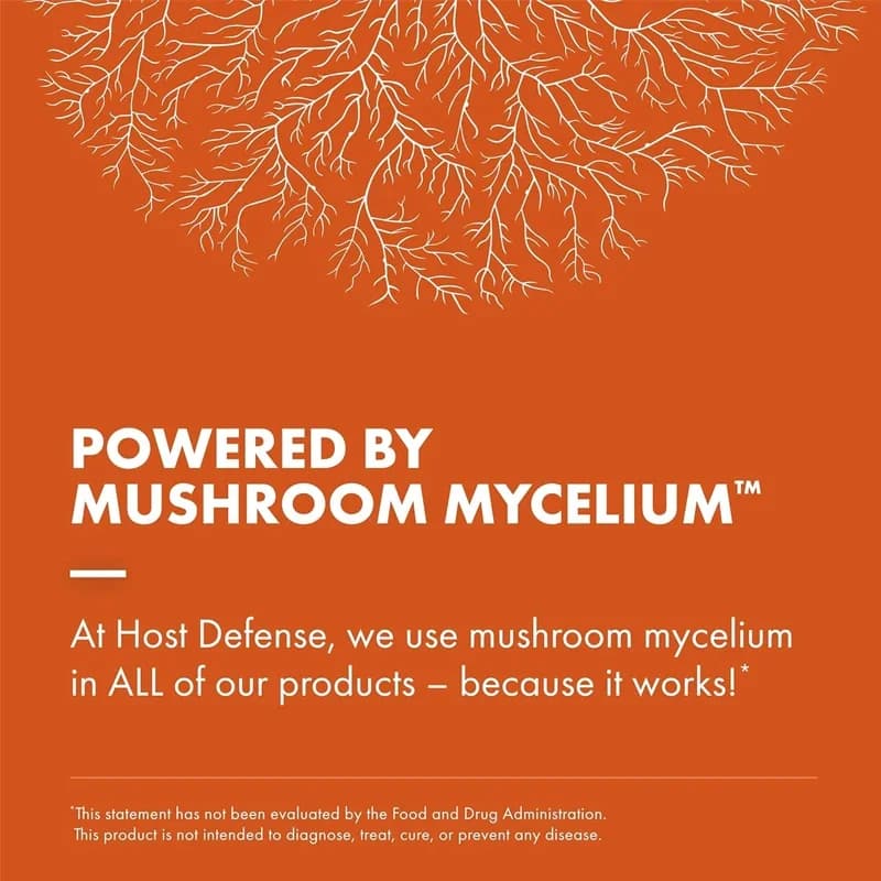 Capsules de Cordyceps, compléments alimentaires pour soutenir l'immunité et l'énergie