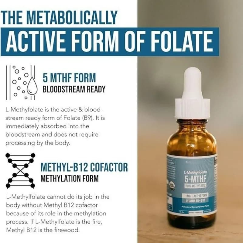 Offre Spéciale : Gouttes liquides de méthylfolate à absorption élevée – Complément d'acide folique actif pour le soutien quotidien de la nutrition corporelle