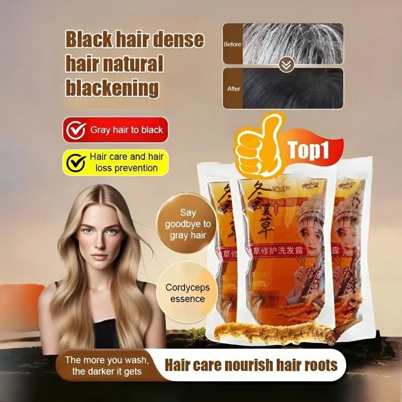 Cordyceps Shampooing anti-huile Shampooing nourrissant pour soins capillaires Shampooing antipelliculaire Shampooing anti-démangeaisons Shampooing pour cheveux moelleux