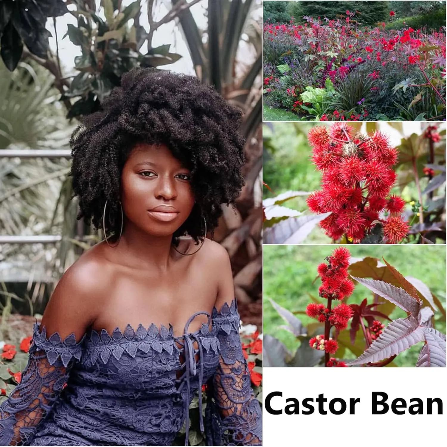 Huile pour cheveux crépus d'inspiration ouest-africaine de 110 ml avec romarin et ricin, légère et soyeuse, pénètre dans les boucles, hydratation durable