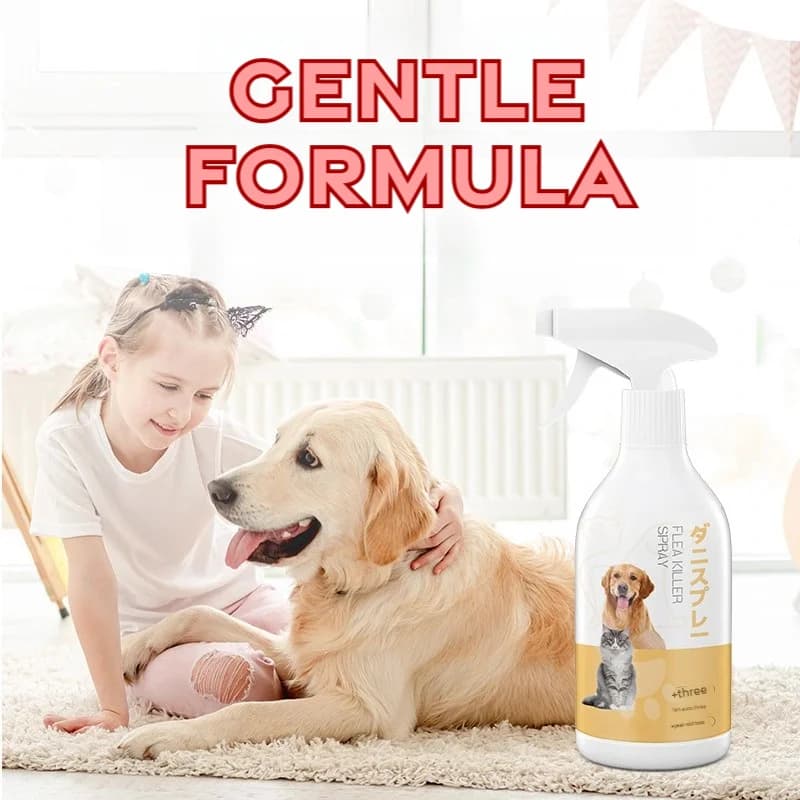 Spray répulsif anti-insectes pour animaux de compagnie