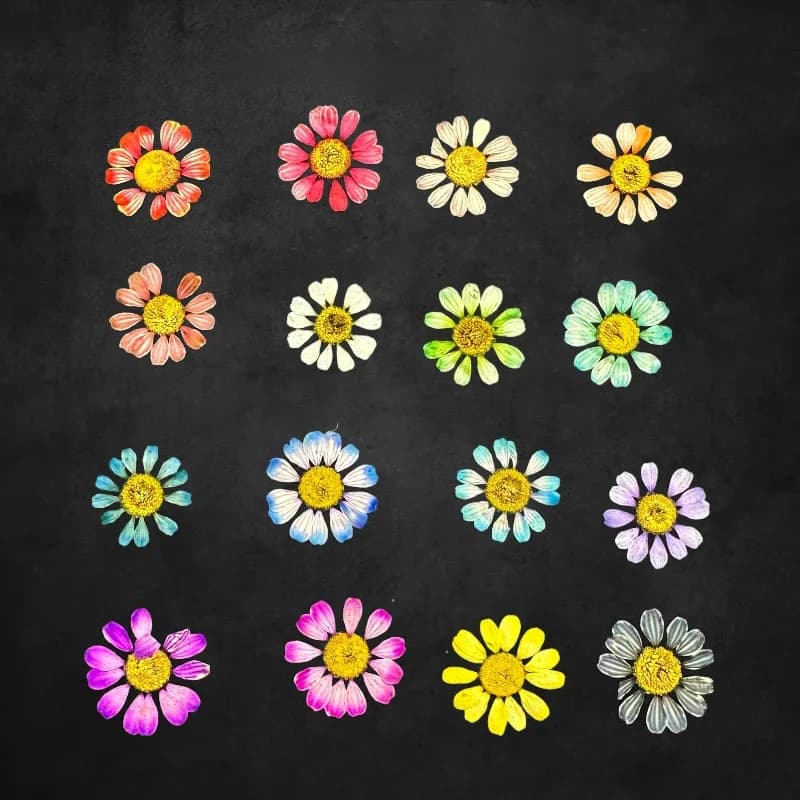 12 pièces/1-2 cm, Mini fleur sèche naturelle camomille, cadre Photo fait à la main, matériel de bricolage, bijoux de maquillage, pétales de fleurs époxy pour Nail Art