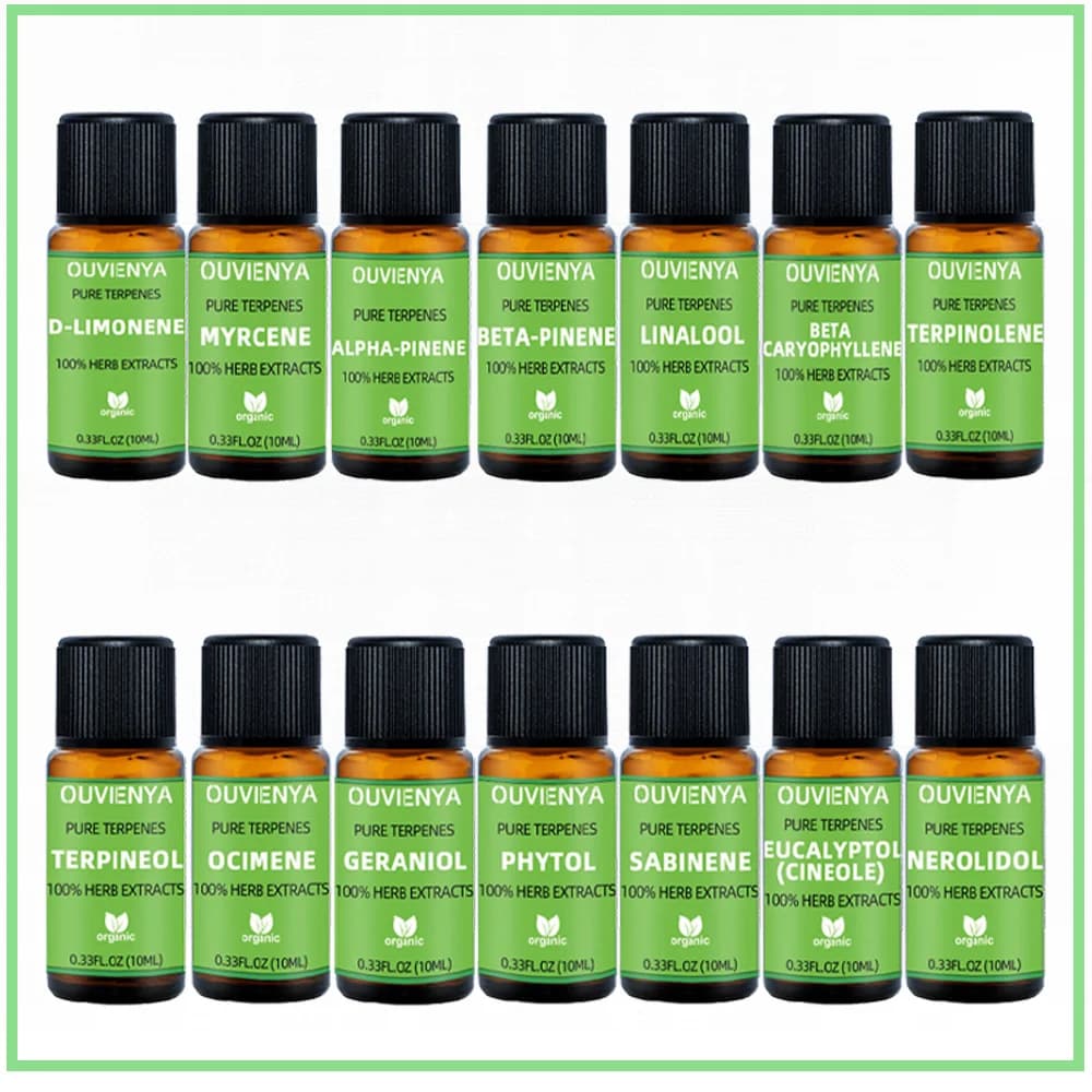 Huile essentielle de terpène pure biologique, extraits d'herbes avec de l'huile soluble comme liquide naturel ou matières premières aromatiques, 1 bouteille de 10ml