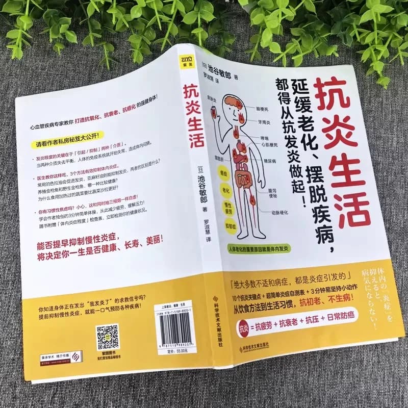 Régime Anti-inflammatoire, Anti-âge, Guide Anti-sucre, livre de style de vie Anti-inflammatoire, recettes saines pour prévenir les maladies et lent