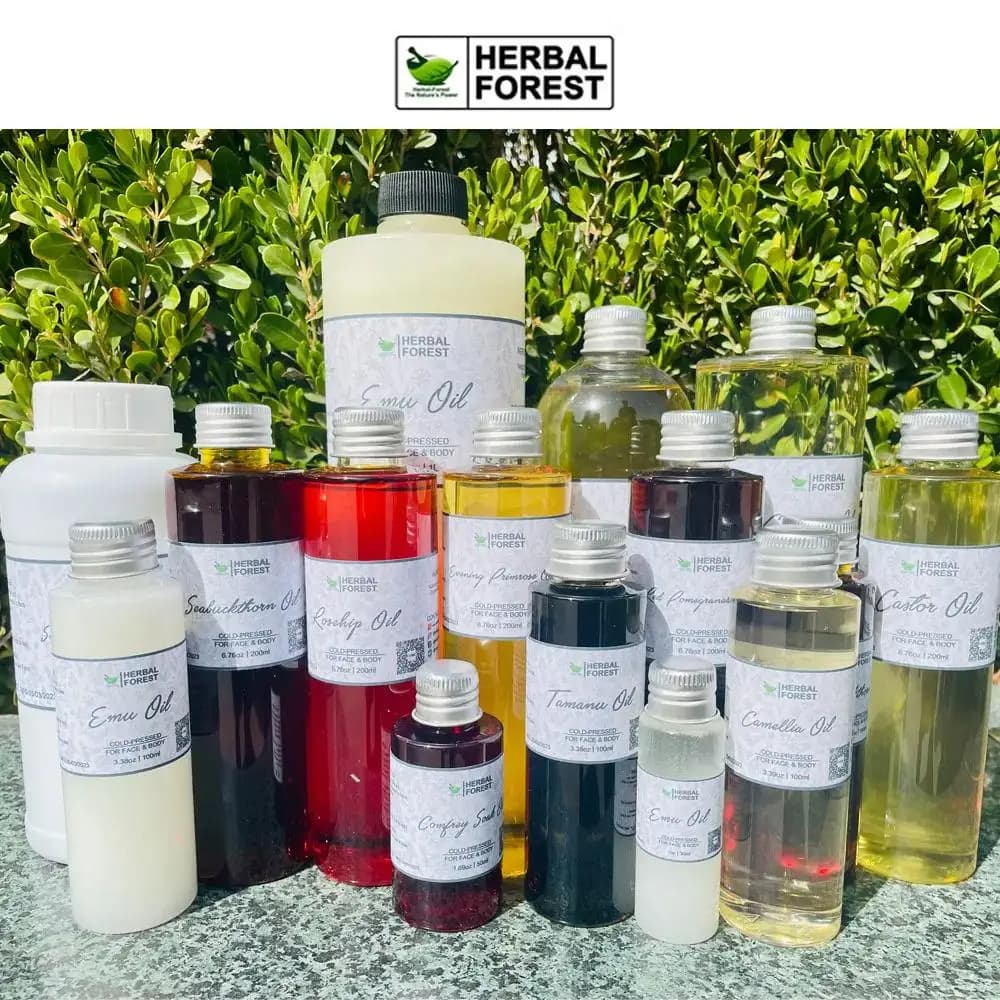 CAN ac-Huile essentielle non diluée de qualité supérieure, pour diffuseurs, bougie de massage et fournitures exécutives de Regina, parfum d'huile diffuseur