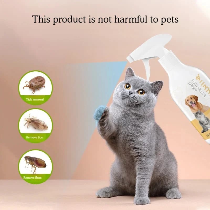 Spray répulsif anti-insectes pour animaux de compagnie
