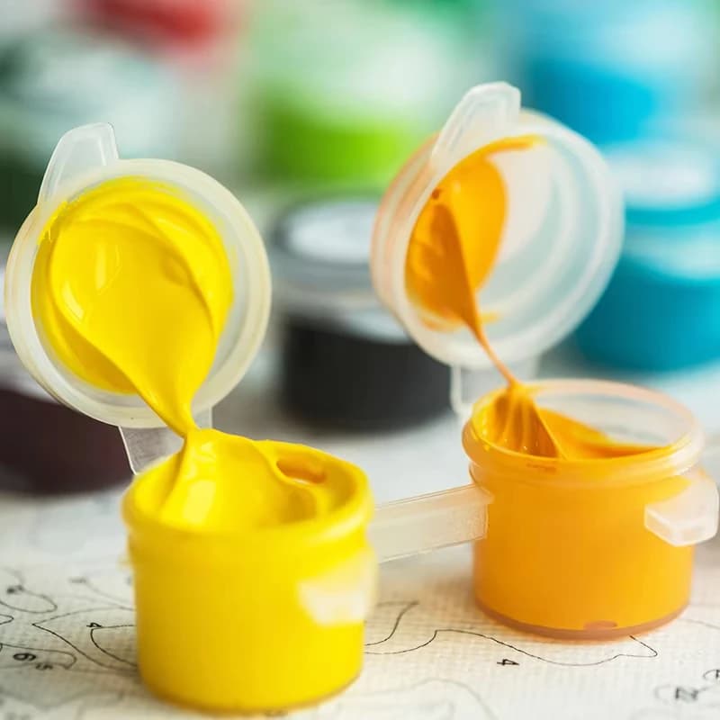Peinture à l'huile par numéros DIY