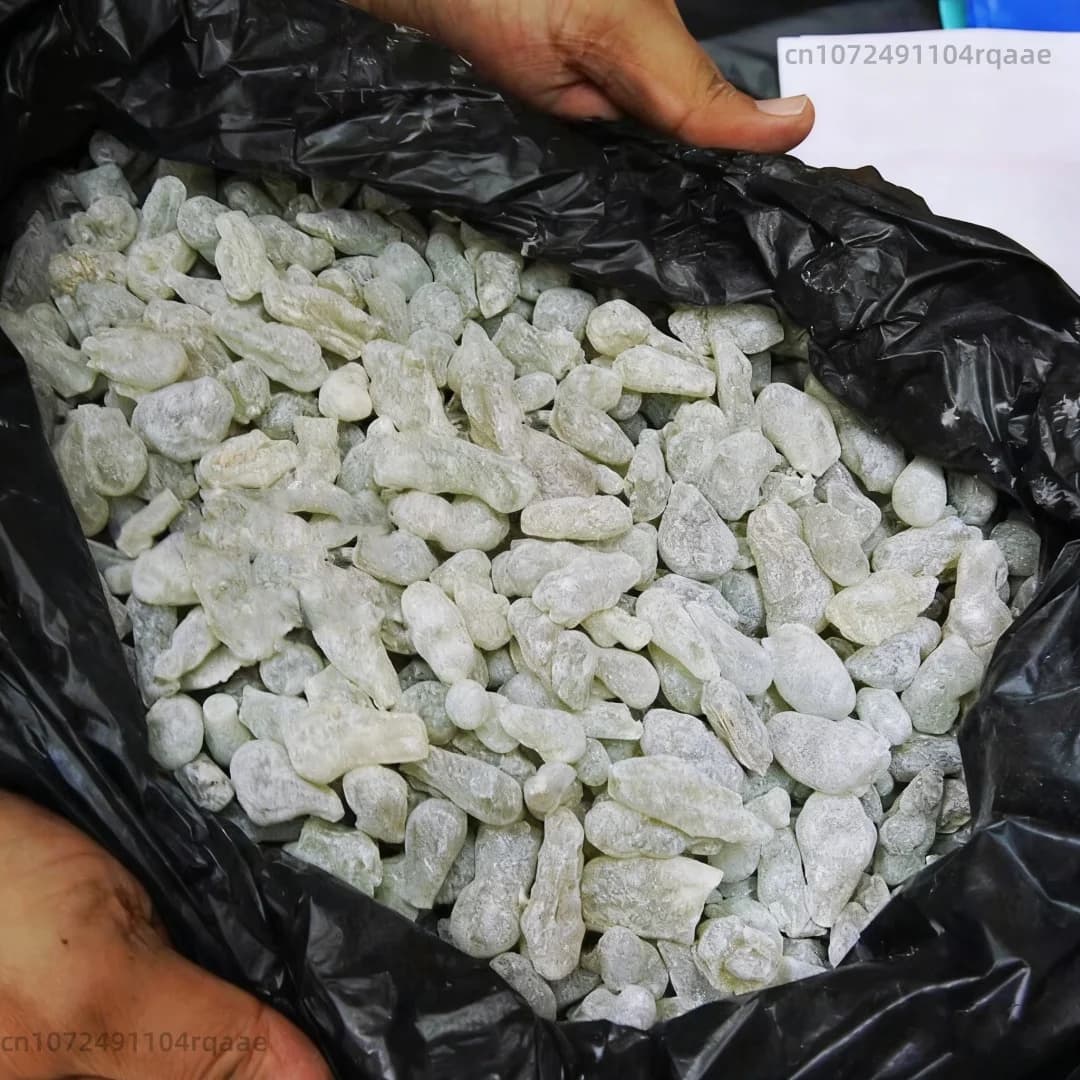 Encens de Résine Omani Hojari Premium Riche en Huile