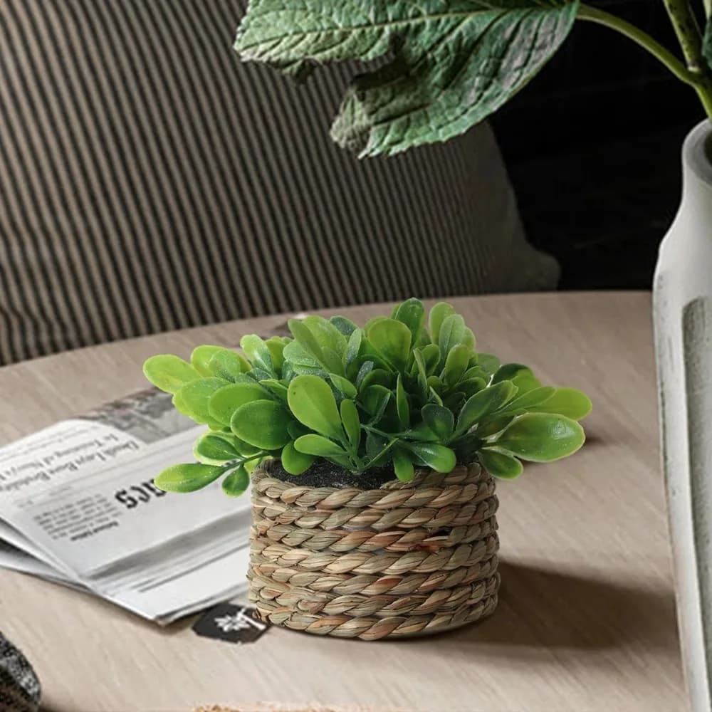 Plante artificielle verte en pot